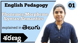 What is PhonemeMorphemeSyntaxSemantics  English Pedagogy  Ctet Telugu [upl. by Malilliw]