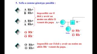 QCM REPONSES EXERCICE GENETIQUE 2 [upl. by Andrei]