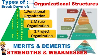 what are the types of organizational structuresPrinciples amp working of Organizational structures [upl. by Selle772]