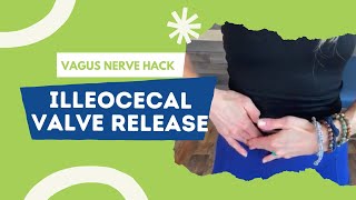 Vagus Nerve Hack  Ileocecal Valve Release  Visceral Release [upl. by Leynwad87]