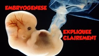 🔴 Dr Astuce  EMBRYOLOGIE EXPLIQUEE CLAIREMENT [upl. by Rundgren]