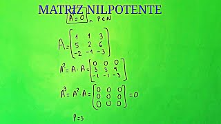 MATRIZ NILPOTENTE [upl. by Aydne]