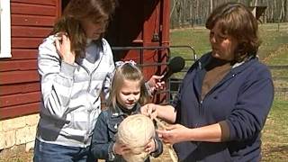 Alpaca Shearing Day at Black Meadow Farm Part II [upl. by Kcirdet]