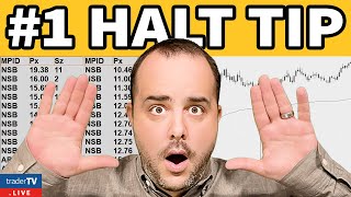 The ONLY Halt Trading Strategy You Need [upl. by Jaquelin507]