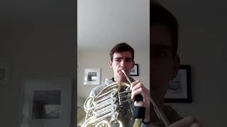 My unique interpretation Tchaikovsky Symphony 5 movement 2 horn solo [upl. by Atiseret9]