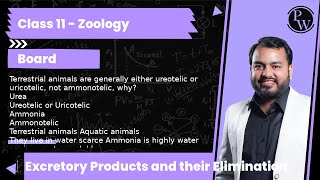 Terrestrial animals are generally either ureotelic or uricotelic not ammonotelic why Urea Ureo [upl. by Anil]