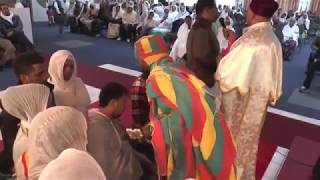 Bahtawi ABA GebreGiorgis የፈውስ ፕሮግራም Amsterdam 2 [upl. by Butler]