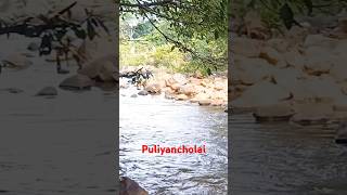 Cholayil neerati sivalinga dharahanam [upl. by Leamsi284]