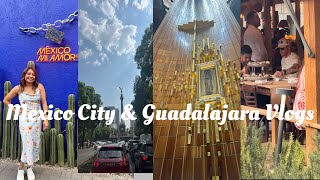 Mexico City Vlog  Guadalajara Vlog Polanco [upl. by Krigsman523]