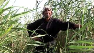 Marsh Arabs of Southern Iraq [upl. by Yatnuhs]