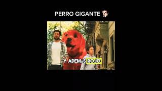 LABRADOR GRANDE PERRO GIGANTE EN LAS CALLES Clifford El Gran Perro Rojo RESUMEN DE PELÍCULAS CORTAS [upl. by Aniretake]