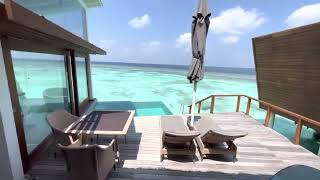 Maldives North Ari Atoll  Kandolhu Maldives  Ocean Pool Villa  90 sqm  room 205  room tour [upl. by Arres]