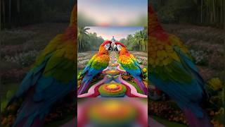 10 Most Beautiful Talking Parrots in the World  Stunning Colors amp Conversationsquot [upl. by Nimajneb309]