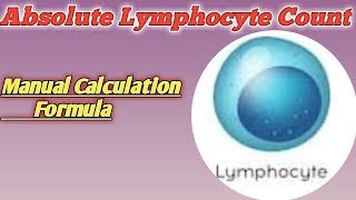 absolute Lymphocyte formula  absolute Lymphocyte normal range  lymphocytes in microscope [upl. by Constantin189]