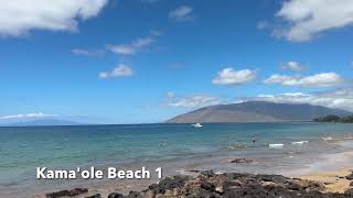 Snorkeling Kamaole Beaches [upl. by Ahsuatal]