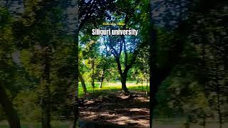 🎓🎓🎓Universitys reelsvideohighlight [upl. by Yelruc545]