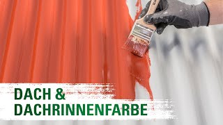 Dachsanierung  Dachfarbe  Dachrinnenfarbe  Dichtungsmasse [upl. by Xanthus76]