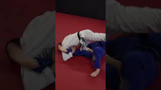 Sweep to Saddle aka 411Honey Hole leglocks [upl. by Tobiah]