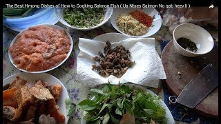 The Best Hmong Dishes of How to Cooking Salmon Fish  Ua Ntses Salmon No qab heev li [upl. by Vasta666]