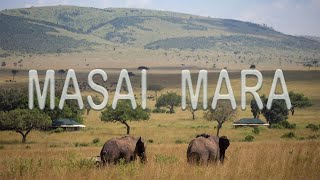 THE ULTIMATE SAFARI EXPERIENCE  MASAI MARA [upl. by Suriaj820]