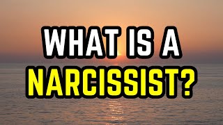 What is a Narcissist 8 Key Traits [upl. by Hebbe]