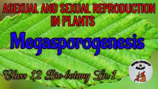 Megasporogenesis in tamil  Asexual and sexual reproduction in plants [upl. by Adaliah425]