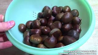 Come sbucciare le Castagne e Marroni in 5 minuti  Video Tutorial How to peel chestnuts [upl. by Cathey]