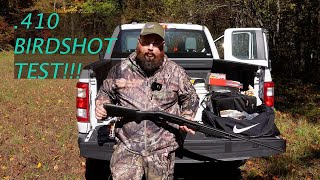 410 Shotgun Birdshot Test At what range is 410 birdshot effective [upl. by Ainiger]