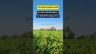 ખેતર હોય તો સાચવજો💯 khedut khetar village villagelifestyle villagelife khedutstatus status [upl. by Arretnahs]