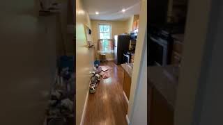 Large and Renovated 3bdrm on Nostrand Ave  Prospect Lefferts Garden [upl. by Adraynek]