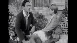 Lassie  Episode 21  quotBlind Soldierquot Originally broadcast 01301955 [upl. by Butler]