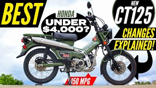 NEW Honda Trail 125 Review  CT125  Better than Grom Monkey amp Super Cub Motorcycles [upl. by Haile]