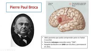 Neuropsicología de las Afasias 1 [upl. by Aikar]