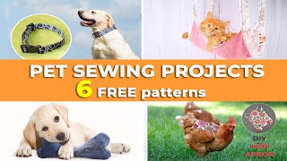 6 Fun and Easy DIY Projects for Your Pet  6 Crafts to Keep Your Furry Friend Happy [upl. by Koball801]