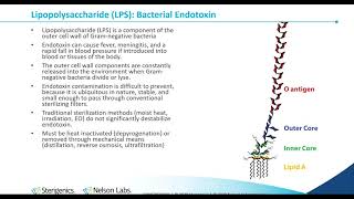 Bacterial Endotoxin Testing History InhibitionEnhancement and Process Control [upl. by Haelam623]