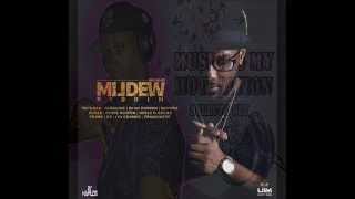 Selecta Sly Anju Blaxxx U I M Records Mildew Riddim Mix [upl. by Llecrup627]