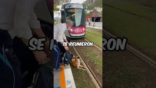 El Perro Más Vago Del Mundo😨😨 [upl. by Orvas]