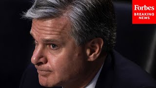 FBI Director Christopher Wray Grilled In Senate Over Failure To Stop Larry Nassars Abuse [upl. by Eiramnaej]