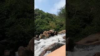 Nice view in riveramazing viralvideo [upl. by Beaver]