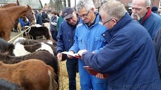 Paardenmarkt Lottum [upl. by Floeter107]