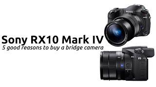 THE SONY RX10 MARK IV AND 5 GOOD REASONS TO BUY A BRIDGE CAMERA FROM A PANASONIC FZ25002000 OWNER [upl. by Phionna71]