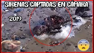 TOP 6  NUEVAS SIRENAS CAPTADAS EN CÁMARA 2019 ¡NO LO CREERÁS [upl. by Gilbertina105]