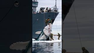 Soldiers save giant whale from fishing net [upl. by Boyes726]