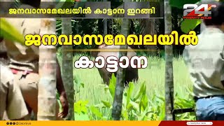 പേരാമ്പ്രയില്‍ ജനവാസമേഖലയില്‍ കാട്ടാന വനംവകുപ്പ് ഉദ്യോഗസ്ഥർ സ്ഥലത്ത്  Kozhikode [upl. by Lleda]