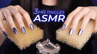 ASMR for People Who Don’t Get Tingles 3hr  Everyday Items Mildly Fast amp Intense No Talking [upl. by Ainnet215]