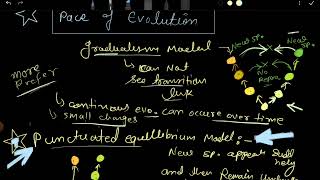 Evolution gradualism and punctuated equilibrium model  pace of evolution csir net [upl. by Salina980]