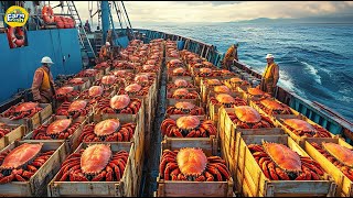 The Journey of Giant Ships Going Out to Sea to Harvest Huge Amounts of Seafood 🦀 [upl. by Reham697]