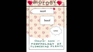 Morphology of flowering plants ☘️ class 11 latest ncert based handwritten notes [upl. by Nerty]