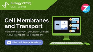 Cell Membranes and Transport  Biology AS Level  Discord Study Session [upl. by Anabahs939]