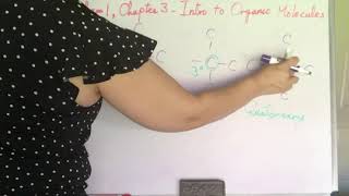 Organic Chemistry 1 Chapter 31 Introduction to Organic Molecules [upl. by Gnaw984]